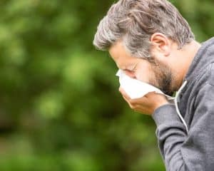 la toux durant les allergies