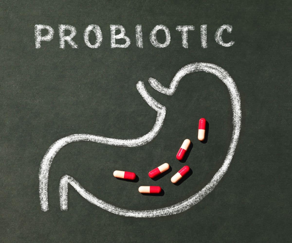 Les bienfaits des probiotiques