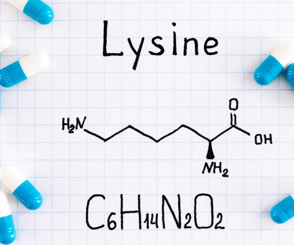La L-lysine