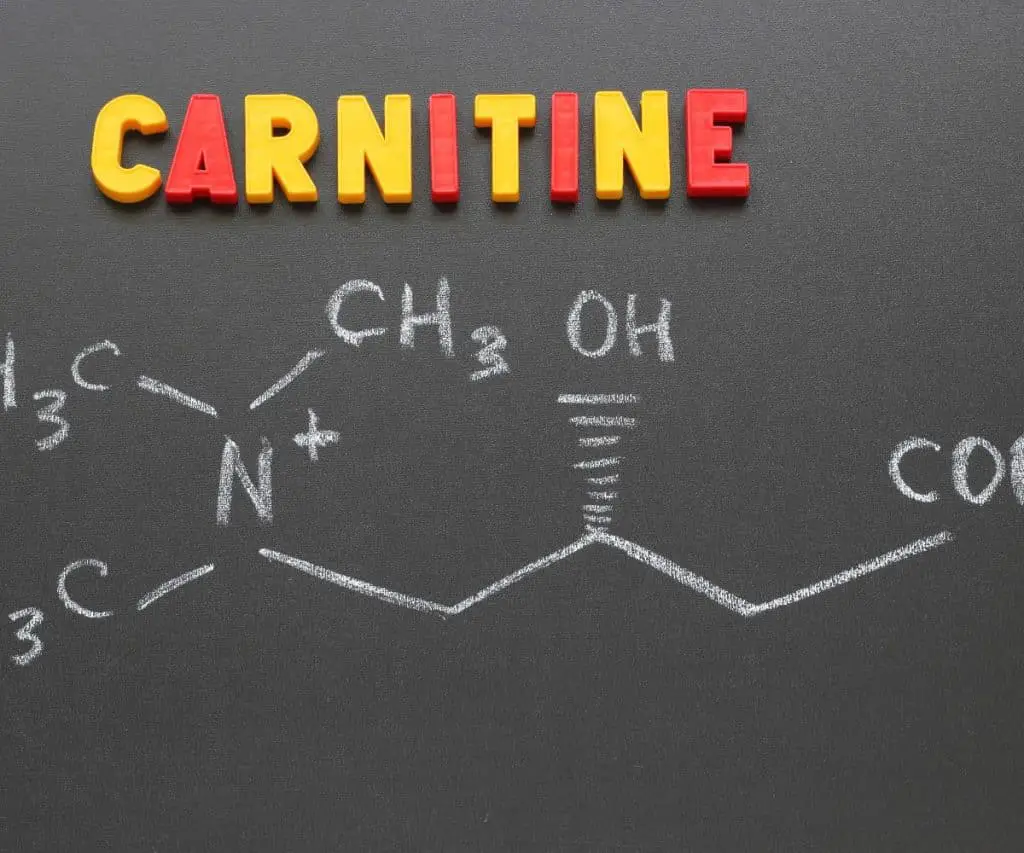 L-carnitine 