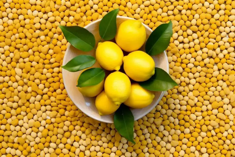 "Découvrez le pouvoir incroyable du citron pour éliminer les graisses indésirables avec notre article exclusif!"