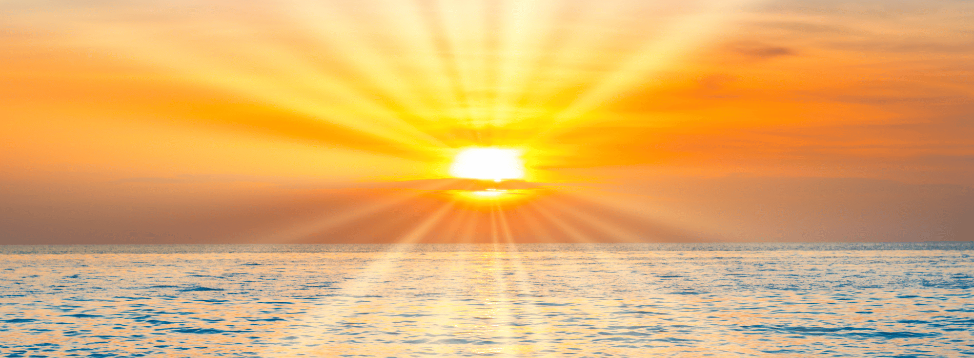 Vitamine D3 végan